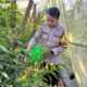 Bhabinkamtibmas Desa Kumbang Dorong Ketahanan Pangan dan Ajak Warga Jaga Kamtibmas