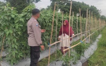 Bhabinkamtibmas Polsek Labuapi Edukasi Petani Hortikultura Lombok Barat