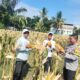 Bhabinkamtibmas Desa Bagik Papan Cek Panen Jagung dan Berikan Himbauan Kamtibmas kepada Masyarakat