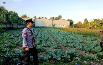 Bhabinkamtibmas Desa Masbagik Timur Monitoring Ketahanan Pangan dan Ajak Warga Jaga Kamtibmas