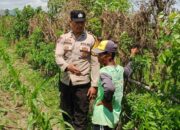 Dukung Ketahanan Pangan, Polsek Labuapi Dorong Warga Manfaatkan Lahan Pekarangan Rumah