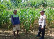 Dukung Ketahanan Pangan Nasional, Polsek Gerung Dampingi Petani di Lombok Barat
