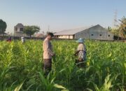 Wujud Sinergi Polri dan Petani, Bhabinkamtibmas Kuranji Dalang Perkuat Ketahanan Pangan Lombok Barat