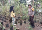 Sinergi Polsek Labuapi dan Petani Lombok Barat Perkuat Ketahanan Pangan Nasional