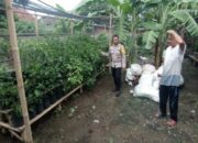 Memperkuat Ketahanan Pangan Desa, Bhabinkamtibmas Gerung Dorong Warga Manfaatkan Lahan Pekarangan