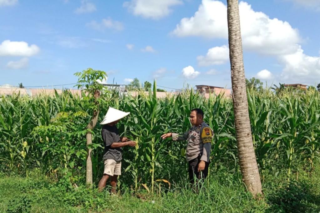 Dukung Swasembada Pangan, Polsek Labuapi Turun Langsung Mendampingi Petani di Lombok Barat