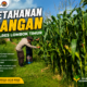 Bhabinkamtibmas Desa Paokmotong Monitoring Pekarangan Pangan Bergizi, Dukung Swasembada Pangan Nasionalmatis