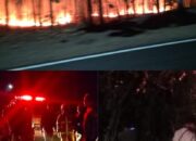 Polres Sumbawa Barat dan Polsek Jereweh Merespon Cepat Karhutla di Lahan Milik Almarhum H.Sape