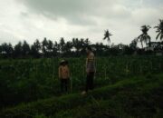 Bhabinkamtibmas Desa Masbagik Selatan Cek Lahan P2B, Dorong Ketahanan Pangan dan Kesejahteraan Masyarakat