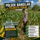 BHABINKAMTIBMAS POLSEK BANGILAN LAKSANAKAN MONITORING TANAMAN JAGUNG DALAM RANGKA MENDUKUNG KETAHANAN PANGAN NASIONAL