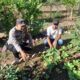 Dukung Ketahanan Pangan Nasional, Bhabinkamtibmas Kelurahan Brang Biji Sambangi Petani dan Ajak Manfaatkan Pekarangan