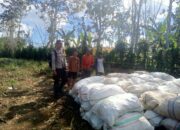 Bhabinkamtibmas Desa Rarak Ronges Dampingi Panen Jagung Tahap III, Pastikan Hasil Petani Terserap Pasar