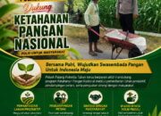 Dukung Astacita, Polsek Palang Polresta Tuban Pantau Langsung Lahan Jagung milik warga Desa Pucangan