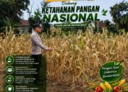 Polri Dukung Astacita, Polsek Semanding Polresta Tuban Turun Cek Tanaman jagung milik Warga di Desa Ngino