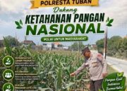 Polri Dukung Astacita, Polsek Rengel Polres Tuban Turun Cek Tanaman Jagung Warga di Desa Rengel