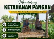 Polsek Tuban Dukung Ketahanan Pangan, Bhabinkamtibmas Sambangi Petani di Lahan Jagung