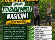 DALAM RANGKA DUKUNG PROGRAM ASTACITA, BHABINKAMTIBMAS DESA NGAWUN POLSEK PARENGAN POLRESTA TUBAN SAMBANG PETANI JAGUNG DI DESA NGAWUN KEC. PARENGAN KAB. TUBAN