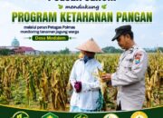 Mendukung Program Ketahanan Pangan Nasional Anggota Polmas Polsek Senori Polresta Tuban Memantau Tanaman Jagung Milik Warga Desa Medalem