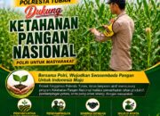 Polsek Singgahan Polresta Tuban Turun Cek Tanaman jagung Warga di Desa Mulyorejo