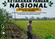 Polri Dukung Astacita, Polsek Merakurak Polres Tuban Turun Cek Tanaman Jagung Warga di Desa Tuwiri Wetan