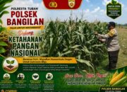 🌽 DUKUNG KETAHANAN PANGAN NASIONAL