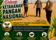 “Anggota Polsek Kerek Pantau Lokasi Pengeringan dan Penyimpanan Jagung”