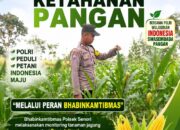 Mendukung Program Ketahanan Pangan Nasional Anggota Bhabinkamtibmas Polsek Senori Polresta Tuban Monitoring Tanaman Jagung Warga Desa Jatisari