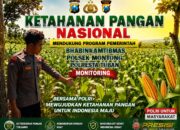 Polsek Montong Polresta Tuban Turun Cek Tanaman jagung Warga di Desa Ngulahan