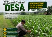 Polsek Jatirogo Turun ke Lahan produktif Desa Paseyan Wujudkan Dukungan Astacita Swasembada Pangan