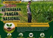 Polri Dukung Astacita, Polsek Semanding Polresta Tuban Turun Cek Tanaman jagung milik Warga di Desa Sambongrejo