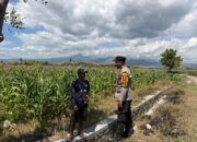 Dukung Swasembada Jagung Menuju Indonesia Emas, Bhabinkamtibmas Desa Pukat Sambangi Petani di Dusun Pukat