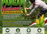 Polsek Soko Polresta Tuban Turun Langsung Cek Tanaman Jagung Warga