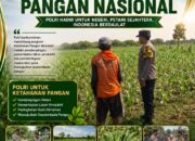 BHABINKAMTIBMAS PANTAU PERTUMBUHAN TANAMAN JAGUNG WARGA DI DESA BINAAN
