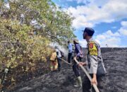 Sigap Padamkan Karhutla di Kilometer 84 Lunyuk, Polsek Bersama Damkar dan Warga Selamatkan Lahan Tanam Warga