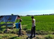 Dukung Ketahanan Pangan Nasional, Bhabinkamtibmas Desa Motong Sambangi Petani Padi dan Dorong Pemanfaatan Pekarangan