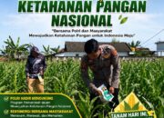 Polsek Soko Polresta Tuban Turun Langsung Cek Tanaman Jagung Warga