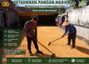 Polsek Montong Polresta Tuban Turun Cek Tanaman jagung Warga di Desa Bringin