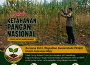 Dukung Astacita, Polsek Palang Polresta Tuban Pantau Langsung Lahan Jagung milik warga Desa Dawung
