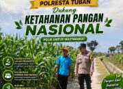 Polsek Plumpang Polresta Tuban Turun Langsung Cek Tanaman Jagung Warga