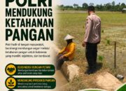 Polri Dukung Astacita, Polsek Merakurak Polres Tuban Turun Cek Tanaman Jagung Warga di Desa Tuwiri Wetan
