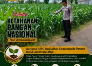 *Dukung Astacita, Polsek Palang Polresta Tuban Pantau Langsung Lahan Jagung milik warga Desa Wangun*