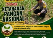 Dukung Asta Cita, Polsek Jatirogo Turun Langsung Pantau Ladang Jagung Warga Desa Paseyan