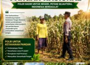 Dukung Ketahanan Pangan, Polsek Kerek Sambang Lahan Jagung di Desa Binaan