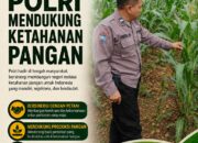Polri Dukung Astacita, Polsek Merakurak Polres Tuban Turun Cek Tanaman Jagung Warga di Desa Tuwiri Wetan