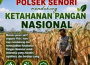 Polisi RW Polsek Senori Polresta Tuban Pantau Kodisi Tanaman Jagung Milik Warga Desa Medalem Guna Mendukung Program Ketahanan Pangan