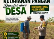 Polri Dukung Astacita, Polsek Rengel Polresta Tuban Turun Cek Tanaman Jagung Warga di Desa Sawahan