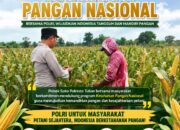 Polsek Soko Polresta Tuban Turun Langsung Cek Tanaman Jagung Warga