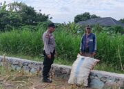 Memperkuat Ketahanan Pangan Desa, Bhabinkamtibmas Polsek Labuapi Turun Sawah Sapa Petani Karang Bongkot