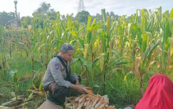 Solusi Tekan Inflasi Dapur, Polsek Batulayar Ajak Warga Maksimalkan Pelevelan Pekarangan