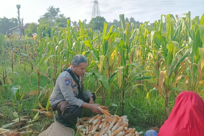 Solusi Tekan Inflasi Dapur, Polsek Batulayar Ajak Warga Maksimalkan Pelevelan Pekarangan